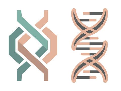Abstract Dual Style DNA Helix Vector Icon Pair Representing Molecular Structure and Genetic Research Concept