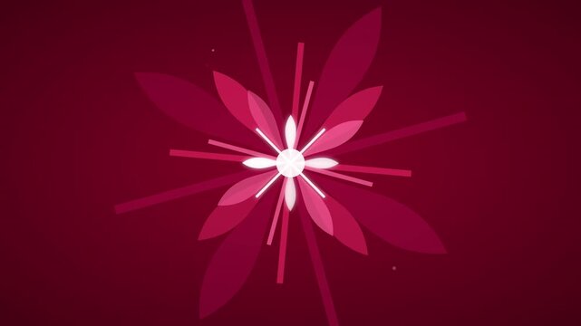 vivid berry red pink floral tunnel animation