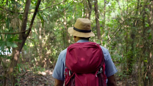 Hiker venturing along a narrow jungle path surrounded by dense foliage and lush green vegetation, capturing the beauty of tropical nature, trekking, wilderness exploration, and outdoor adventure.
