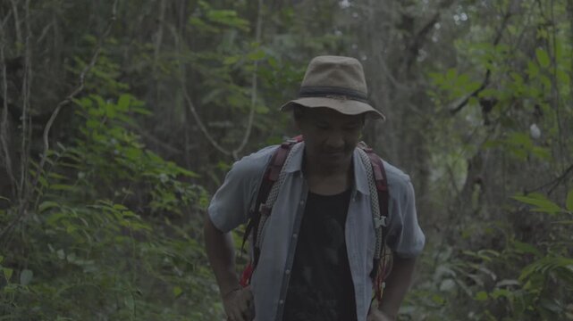 Hiker wearing a backpack exploring a lush forest trail, looking up at the surrounding trees and canopy, capturing outdoor adventure, trekking, nature exploration, and wilderness travel.