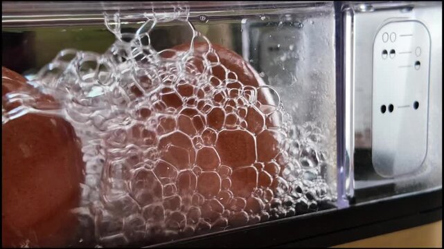 Brown Eggs Cooking in Boiling Water in Egg Cooker