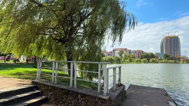 Weeping willow tree grows on park lake shore near pier with metal railing, green grass lawn, and modern urban buildings under cloudy sky