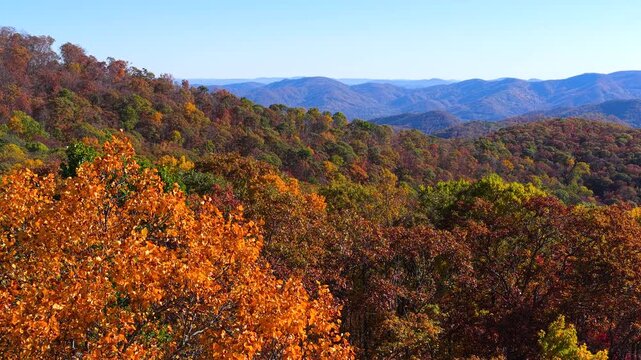 Spectacular autumn scenery featuring colorful forest across rolling mountain terrain. Vibrant foliage creates peaceful and picturesque landscape.