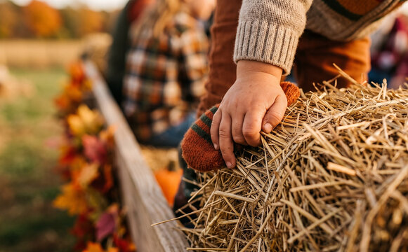 Toddler child hand touching hay bale on autumn wagon ride at pumpkin patch farm