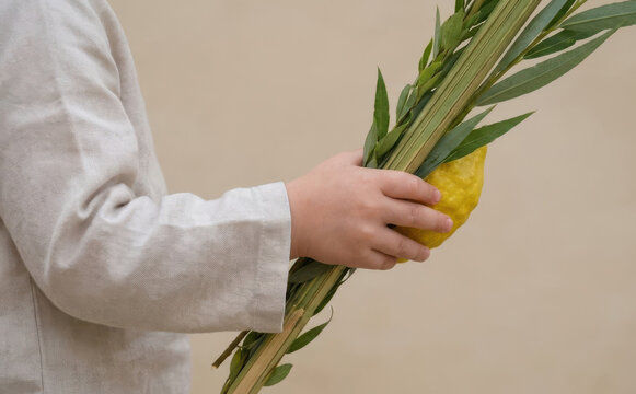Young child holding traditional lulav and etrog branches for the Jewish holiday of Sukkot