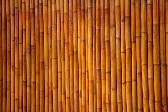 Natural bamboo wall texture showcasing rustic architecture, sustainable materials, and traditional craftsmanship.