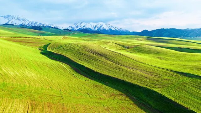 Vibrant spring farmland rolling across green hills beneath snow-covered mountains, ideal for agriculture, travel, nature, and rural landscape concepts.