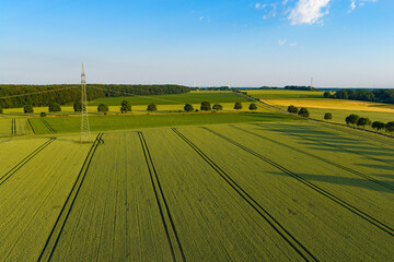 Fototapeta premium Crop plantation at farm. Agriculture and cultivation. Aerial top view on green crop field. Nature environment. Green harvest in field. Summer green field. Agricultural aerial landscape