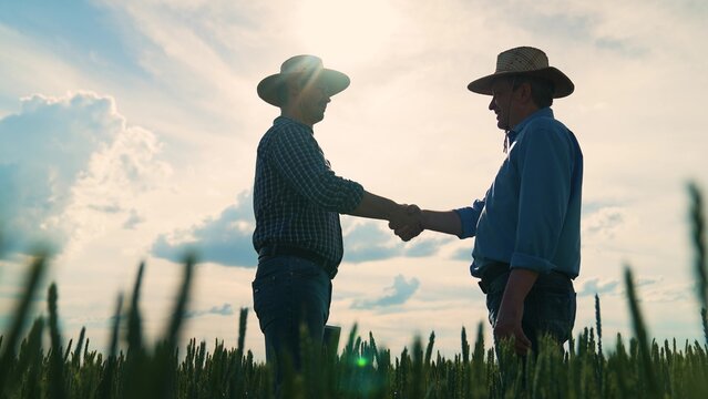 Partnership success in agriculture, Two farmers celebrate partnership, Business handshake in nature, Rural teamwork concept, Deal between agricultural entrepreneurs, Farm contract agreement