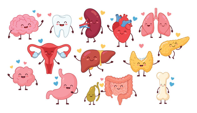 Cute human organs vector characters set with happy smiling face icons including brain heart lungs stomach kidney and liver
