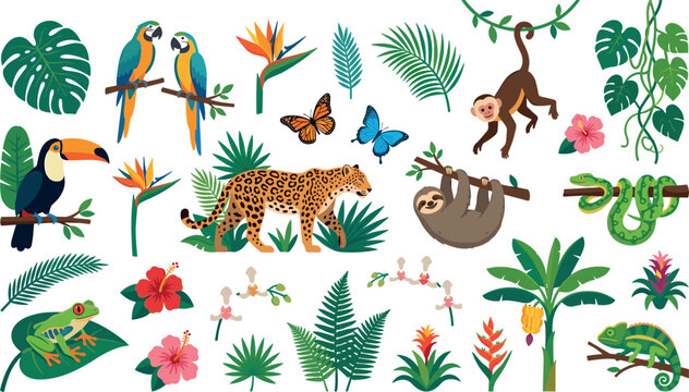 Tropical Jungle Animals and Rainforest Plants Vector Icon Set Featuring Jaguar, Sloth, Monkey, Toucan, Macaw Parrots, Tree Frog, Chameleon, Snake, and Exotic Botanical Leaves