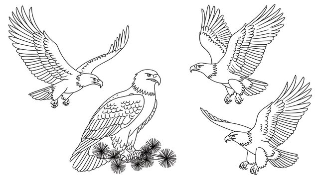 A black and white line drawing of a majestic bald eagle set featuring diverse poses of birds in flight and perched on a pine branch