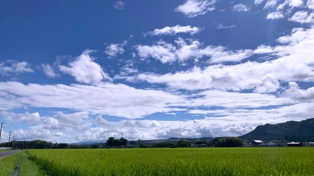 Short 4K Timelapse of Summer Clouds Moving Over Green Fields-seen1