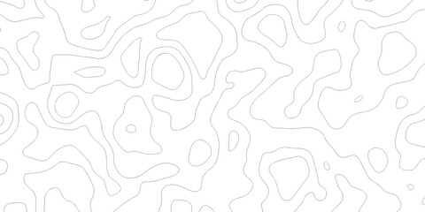 Minimal area topography spiral line white background. landscape black line wireframe location diagram world map texture design.   © MOHAMMAD