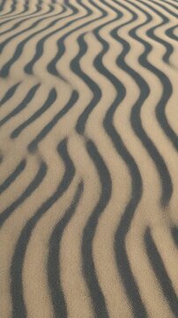 Sunlit wavy sand dune ripples creating parallel shadow line textures