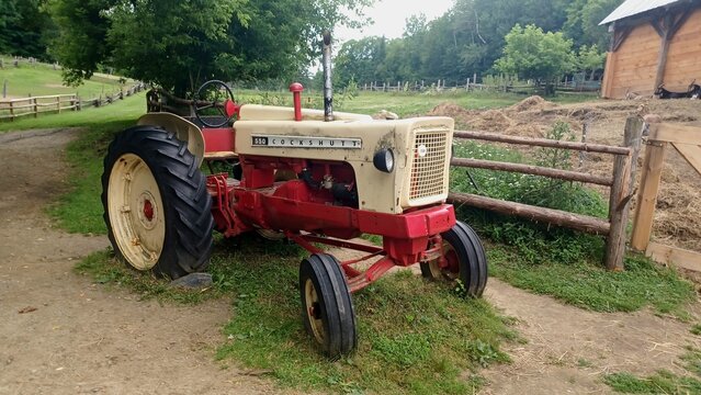 Cockshutt Farm Tractor In Pasture