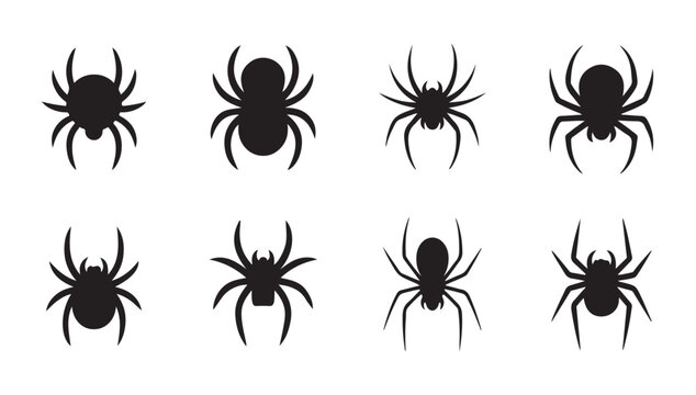 Creepy spider silhouette icons set with different spider species for halloween graphic.