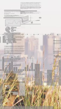 Animation of multiple graphs and trading board over close up of grass against modern city