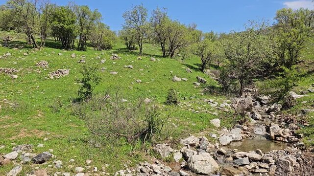 Clear flowing stream winds down a rocky streambed between lush green hillsides, framed by trees under a bright blue spring sky.
📍 Marivan, Kurdistan, Iran 
