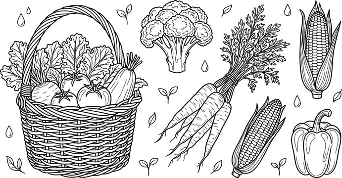 Fresh vegetables basket vector doodle illustration set featuring corn carrot broccoli pepper tomato harvest and healthy organic food