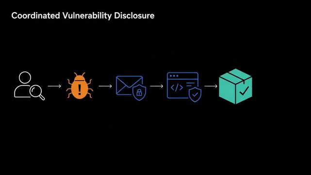 Coordinated vulnerability disclosure process diagram with animated