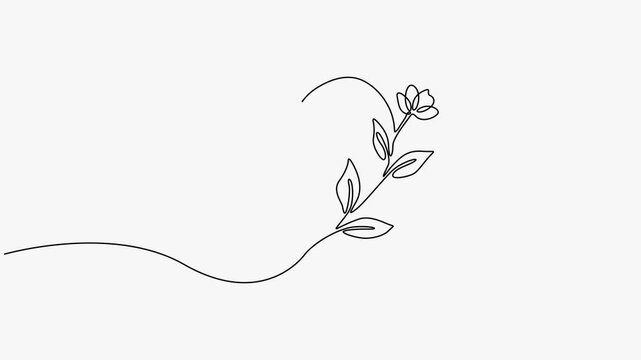 Continuous line art animation of a growing flower stem forming a heart shape on white