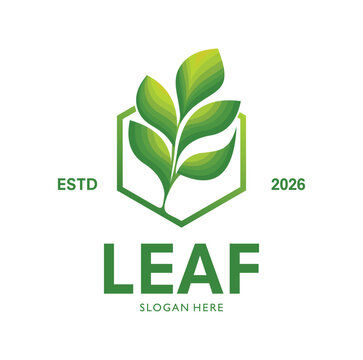 Leaf Logo Design template Illustration Vector