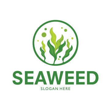 Seaweed Logo Design template Illustration Vector