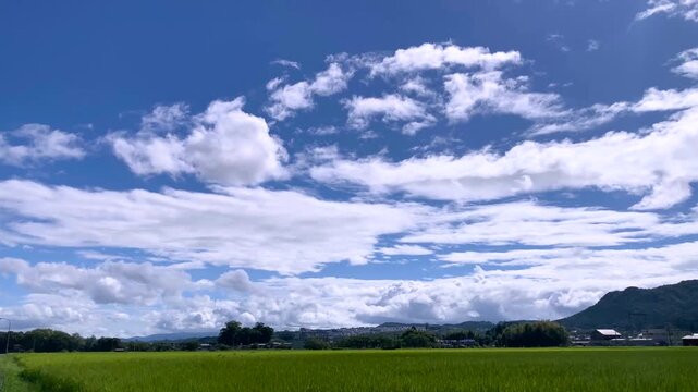 Zoom‑In 4K Timelapse of Summer Clouds Over Green Fields-seen1