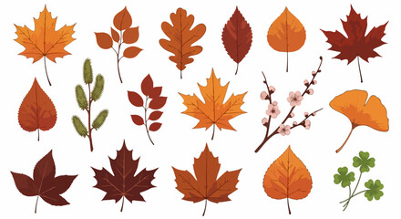 Fototapeta premium Colorful autumn leaves and branches illustration
