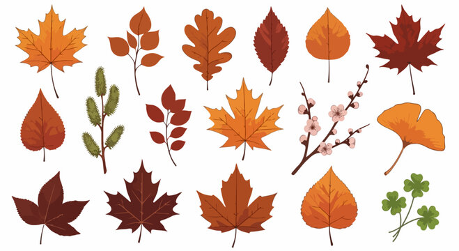 Colorful autumn leaves and branches illustration