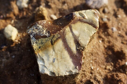 Close-up of a decorative flint fragment with unique brown stripes lying on sandy ground, showcasing intricate geological patterns and natural smooth texture of the sedimentary mineral rock