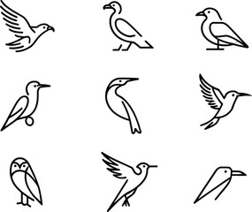 Obraz premium Minimalist bird outline icon collection bundle featuring eagle hummingbird owl seagull and heron line art logo design elements