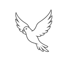 Obraz premium Dove flying outline