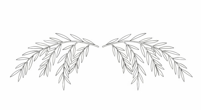 Symmetrical Olive Branch Line Art Illustration