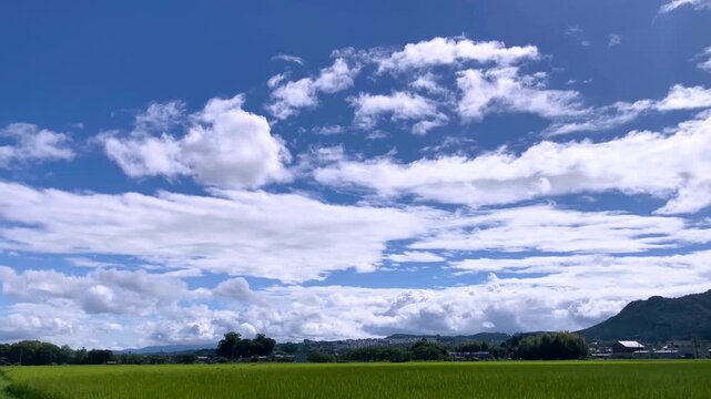 Left‑Panning 4K Timelapse of Summer Clouds Over Green Fields-seen1