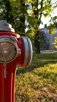Close-up of a bright red fire hydrant with silver caps in warm sunlight with a soft-focus park background for urban safety themes.