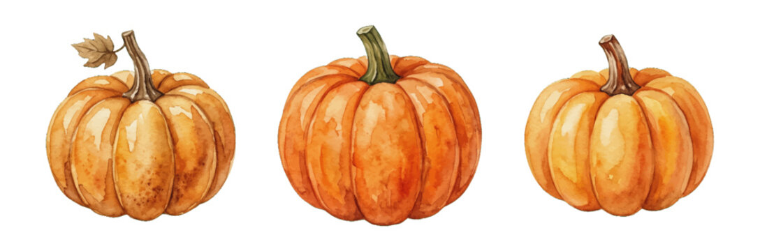 Set of three hand-drawn watercolor pumpkins isolated on a white background for autumn design