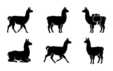 Llama Silhouettes Collection, Diverse Poses Vector Icons, South American Camelid Graphics © Aditya