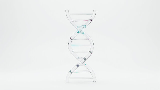 Modern transparent illustration of double helix DNA structure with colored molecular bonds