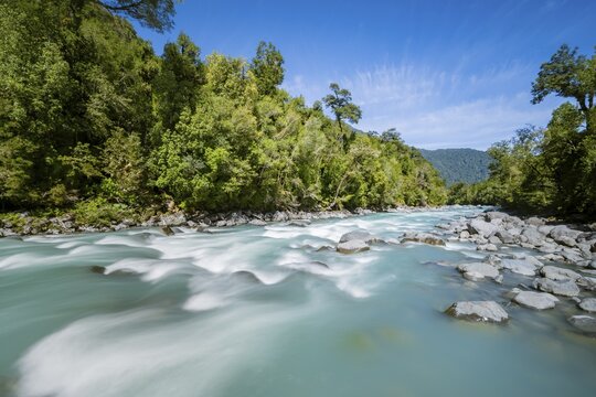 Turquoise blue Rio Blanco river flows through temperate rainforest, Valdivian or northern Patagonian rainforest, Ruta de los Parques, Hornopir&eacute;n, Hualaihu&eacute;, Los Lagos, Patagonia Verde, Chile