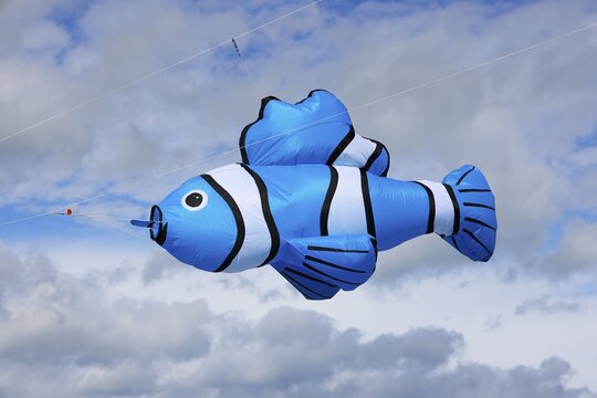 Kite festival, international kite festival, kite in the shape of a fish, Dieppe, Normandy, France