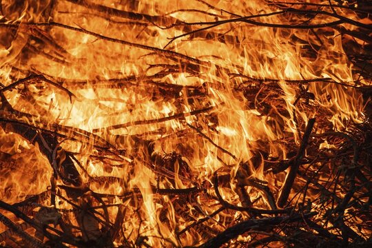 Dry branches burn in intense, blazing flames, fire, Finland