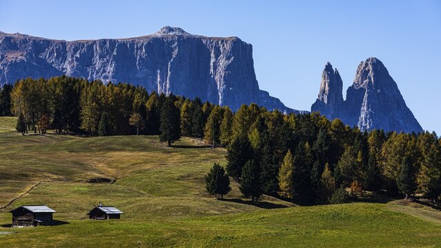 Autumnal alpine meadows and alpine huts on the Alpe di Siusi, behind the peaks of the Sciliar, Val Gardena, Dolomites, South Tyrol, Italy