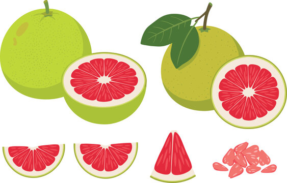 Set of Fresh Red Pomelo Fruit Icons Featuring Whole Citrus Green Leaves Half Cuts Slices and Seeds for Healthy Organic Food Graphic Designs