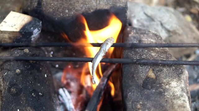 Traditional process of cooking fish on an outdoor stone stove using firewood and a simple grill.