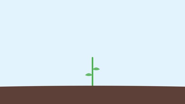 Minimalist Animation of a Growing Pink Flower Blooming with Happy Mother's Day Text Greeting