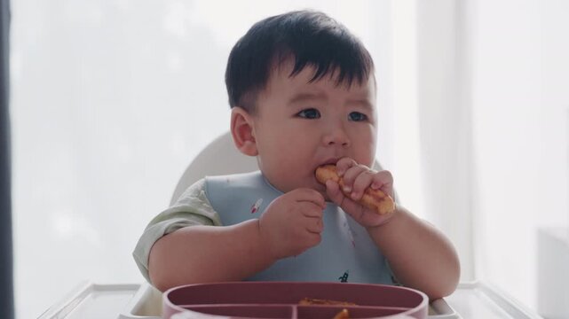 Asian Baby Using Finger to Feed Herself a Food with Baby Led Weaning Concept.Cute Asian baby boy eating finger food in high chair.