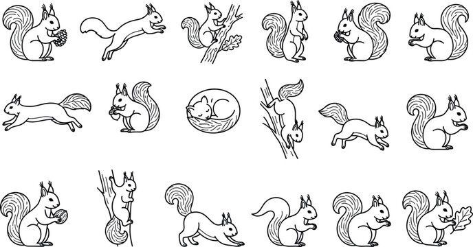 Squirrel animal forest icons set line art outline vector elements for wildlife nature minimalist monochrome doodle rodent character illustrations