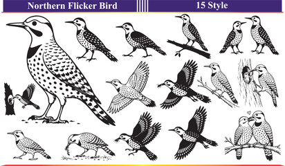 Fototapeta premium Northern Flicker Vector Set in 15 Style